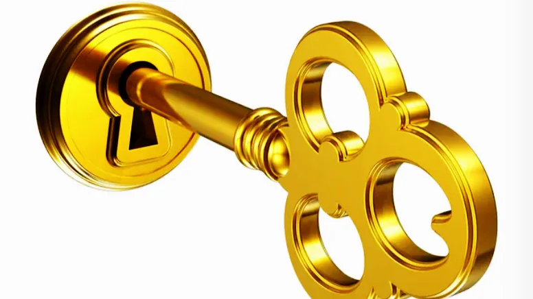 Start with Potential: The Leadership Multiplier Most Organisations Ignore